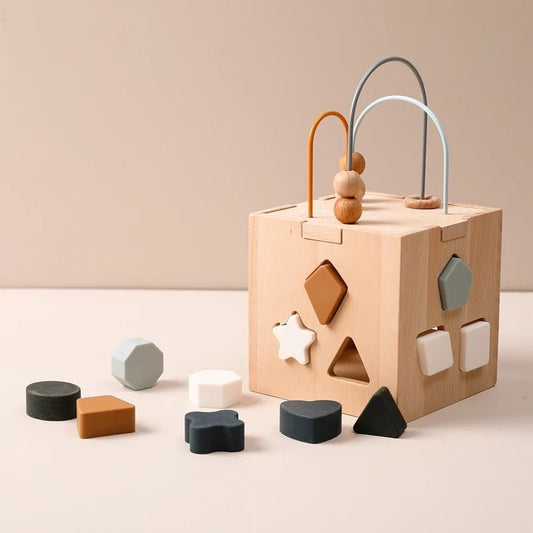 Montessori Cube - Cambout