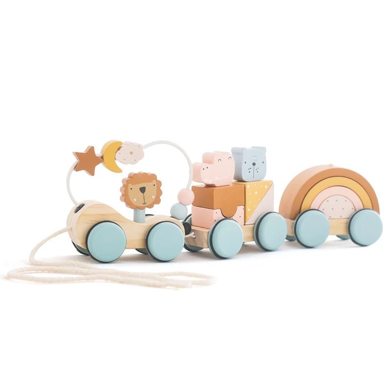 Montessori Wooden Train - Cambout